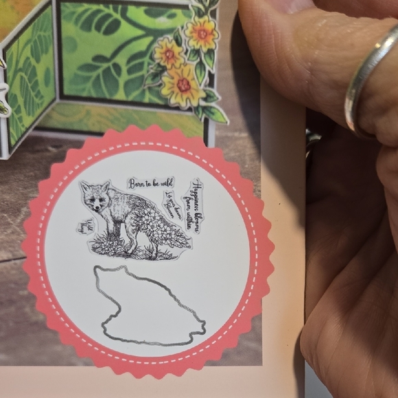Crafter's Companion Sheena Crafts Garden Visitors Wild Thing Stamp & Die Set NEW - Picture 2 of 3